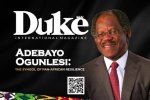 Adebayo Ogunlesi: the Journey of a Visionary Leader in Investments