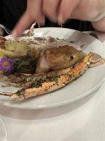 Discoveries for the Discerning Foodie