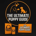 Jaide Slut Puppy: the Ultimate Guide to Understanding the Phenomenon