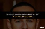 Unraveling the Enigma: Who Made Euphoria Beat?